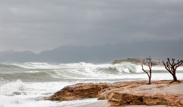 Grandes olas que desembarcan en una costa rocosa brumosa
 - Foto, Imagen