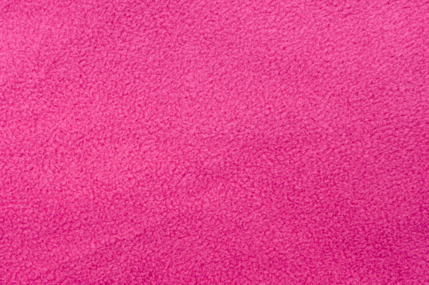 rózsaszín polár - Fotó, kép