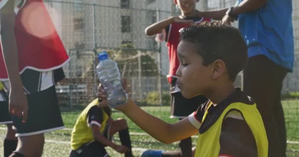 Multi-ethnic group of boy soccer players resting after a training, standing on a green football pitch, drinking water, on a sunny day - Felvétel, videó