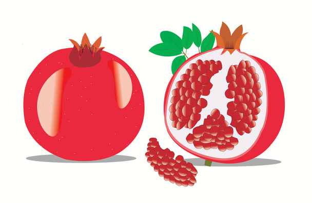 granaatappel fruit met zaden vector vers plak platte illustratie - Vector, afbeelding