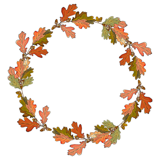 Corona de otoño vectorial con coloridas hojas de roble y bellotas. Marco redondo para su diseño, carteles, pancartas, tarjetas de felicitación. Copiar espacio
. - Vector, imagen