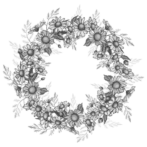Vector wreath of summer flowers. White and black. Vintage monochrome floral round frame with chamomiles for fashion, greetings, background for save the dates.  Hand drawn. Vector stock illustration. - Vector, Image