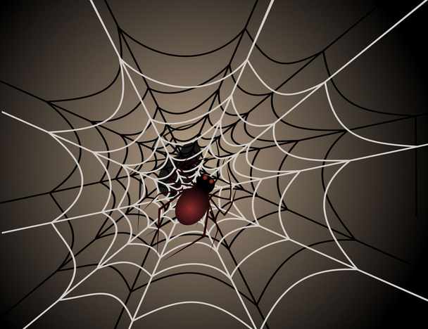 Illustration of a spider in a cobweb - Vetor, Imagem