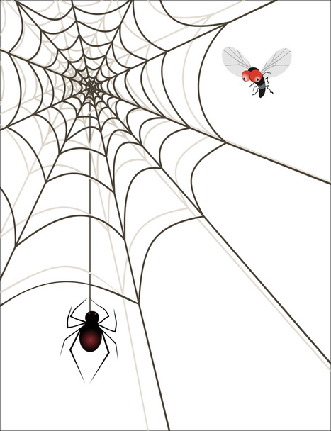 Spider in its web, watching its prey - Вектор, зображення