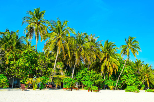 Beyaz kumlu güneşli sahil, hindistan cevizi palmiyeleri ve turkuaz deniz. Yaz tatili ve tropik plaj konsepti. Maldiv Adası 'ndaki su baskını. - Fotoğraf, Görsel