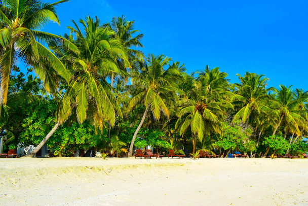 Beyaz kumlu güneşli sahil, hindistan cevizi palmiyeleri ve turkuaz deniz. Yaz tatili ve tropik plaj konsepti. Maldiv Adası 'ndaki su baskını. - Fotoğraf, Görsel