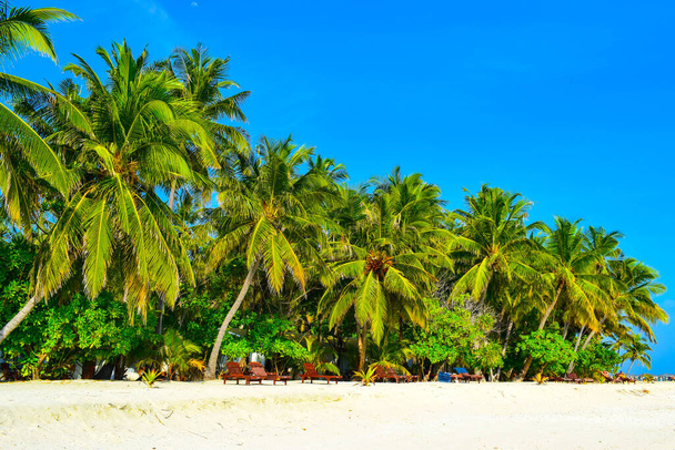 Playa soleada con arena blanca, palmeras de coco y mar turquesa. Vacaciones de verano y concepto de playa tropical. Overwater en Maldive Island resort
. - Foto, Imagen