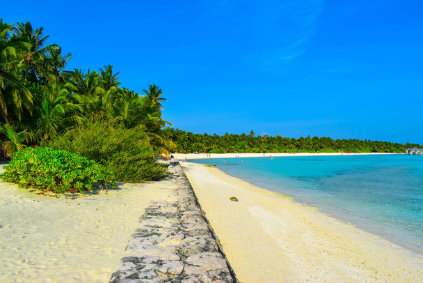 Ηλιόλουστη παραλία με λευκή άμμο, φοίνικες καρύδας και τυρκουάζ θάλασσα. Καλοκαιρινές διακοπές και τροπική παραλία έννοια. Πάνω από το νερό στο θέρετρο Maldive Island. - Φωτογραφία, εικόνα