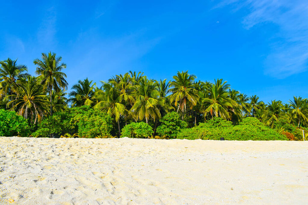 Praia ensolarada com areia branca, coqueiros e mar turquesa. Verão férias e conceito de praia tropical. Overwater em Maldive Island Resort
. - Foto, Imagem