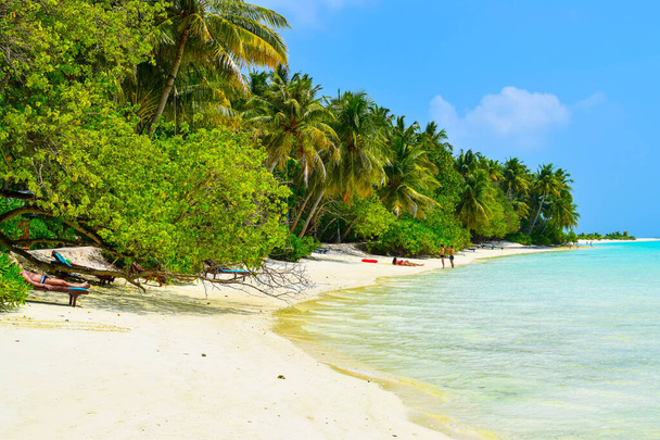 Sunny beach with white sand, coconut palm trees and turquoise sea. Summer vacation and tropical beach concept. Overwater at Maldive Island resort. - Photo, Image