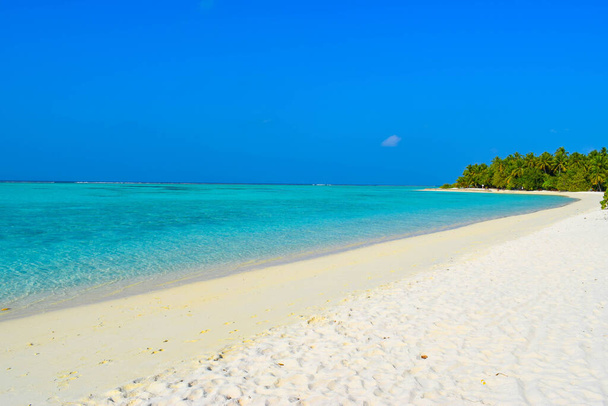 Słoneczna plaża z białym piaskiem, palmami kokosowymi i turkusowym morzem. Wakacje i tropikalna koncepcja plaży. Nad wodą w kurorcie Maldive Island. - Zdjęcie, obraz