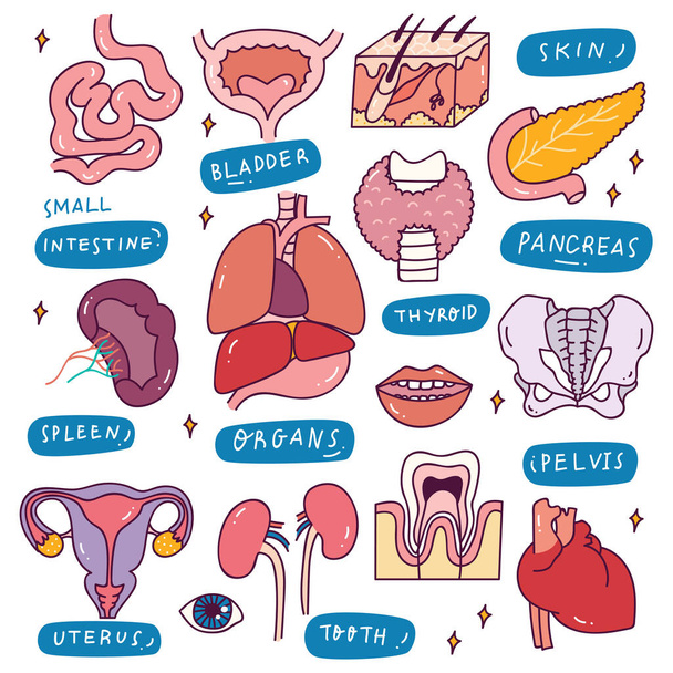 illustration vectorielle d'icônes médicales - Vecteur, image