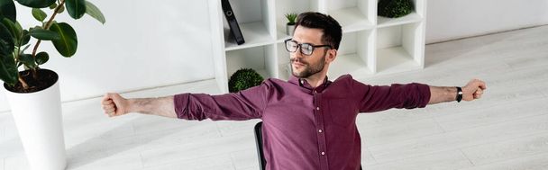 high angle view of young businessman in eyeglasses stretching hands near potted plant, panoramic orientation - Fotografie, Obrázek
