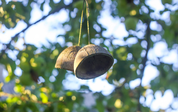 Decor gemaakt van de gedroogde halve kokosnoot hangend aan een boomtak in de zomertuin - Foto, afbeelding