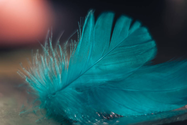 Close up Hermoso patrón de plumas de pájaro azul sobre un fondo bokeh para la textura del diseño.  - Foto, Imagen