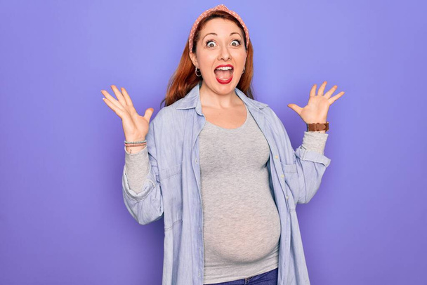 Genç, güzel, kızıl saçlı hamile bir kadın mor arka planda bebek bekliyor. Çılgınlığı kutluyor ve başarıyı kollarını kaldırıp heyecanla haykırarak kutluyor. Kazanan konsept - Fotoğraf, Görsel