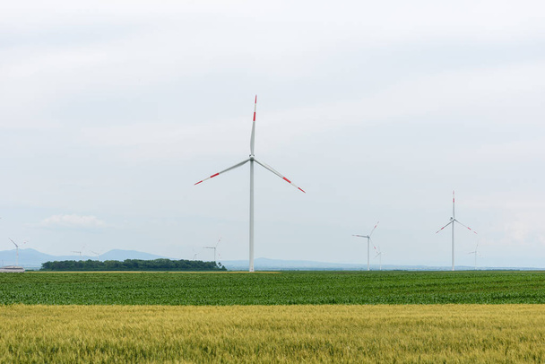 Moinhos de vento para produção de energia elétrica. Tiro de alta ângulo de turbinas eólicas em uma paisagem aberta no campo sérvio durante o dia
 - Foto, Imagem