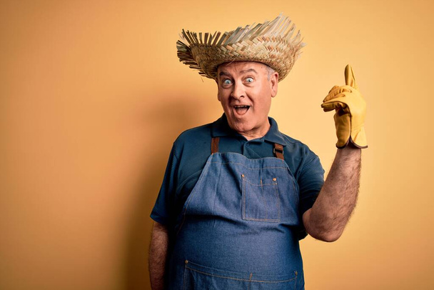 Homem agricultor hoary meia idade vestindo avental e chapéu sobre fundo amarelo isolado apontando dedo para cima com ideia bem sucedida. Saído e feliz. Número um.
. - Foto, Imagem