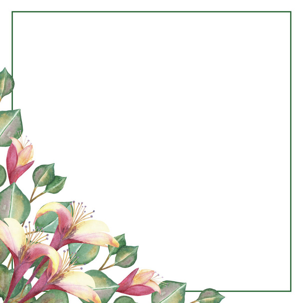 Watercolor hand painted nature floral squared border frame with green eucalyptus leaves on branches, pink blossom honeysuckle flowers and buds bouquet in the corner for invite and greeting cards - Photo, Image
