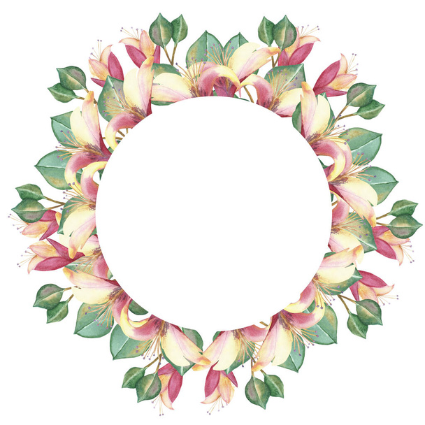 Watercolor hand painted nature floral circle frame with green eucalyptus leaves on branch, pink honeysuckle blossom flowers and buds composition for invite and greeting card with the space for text - Φωτογραφία, εικόνα