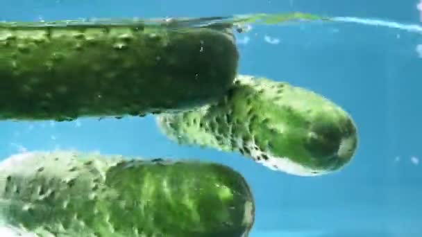 Gurken fallen mit Spritzern ins Wasser. Konzept für gesunde Ernährung. Frisches Gemüse. - Filmmaterial, Video