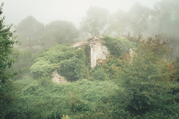 Casa demolida no meio da floresta com o nevoeiro ao redor
. - Foto, Imagem