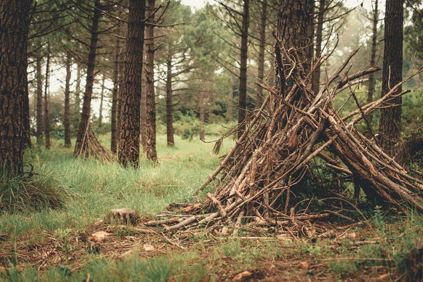 Überlebenshütte aus Ästen mitten im Wald. - Foto, Bild