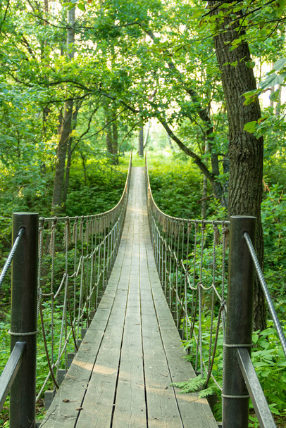 Felfüggesztés híd kötelek és erdők egy dzsungel kaland utazási koncepció - Fotó, kép