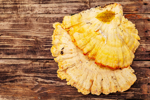 Laetiporus sulphureus, wild forest mushroom. Gourmet food, vintage wooden boards background, top view - Photo, Image