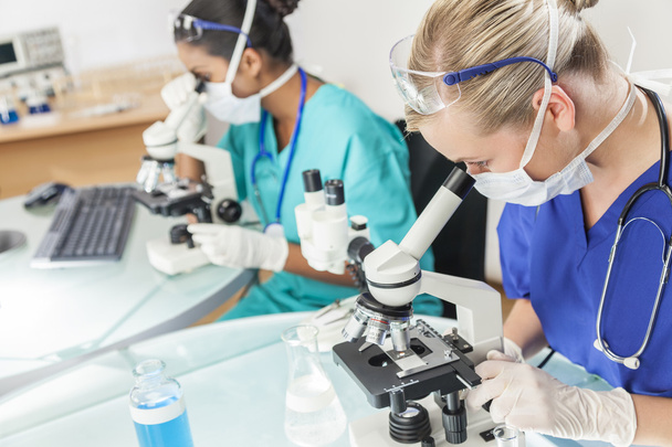 Female Scientific Research Team Using Microscopes - Фото, изображение