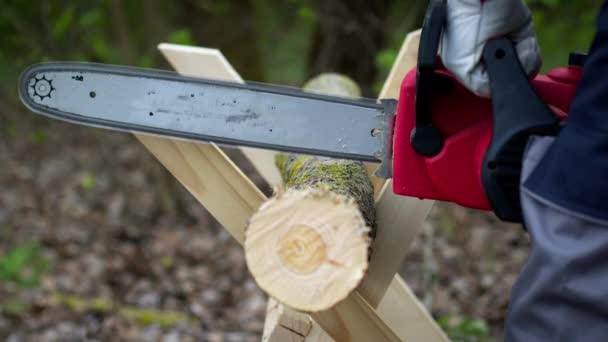 Houtkappers in handschoenen zagen brandhout op zaagmachines met een elektrische zaag in het bos - Video