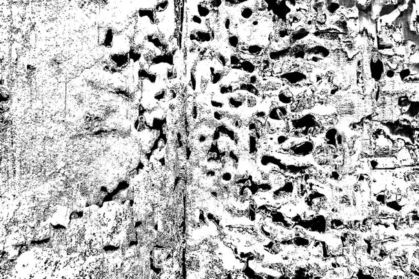 木材中のシロアリのパターン - 写真・画像