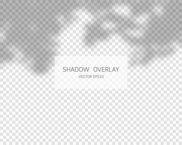 Shadow overlay effect. Natural shadows isolated on transparent background. Vector illustration.  - Vector, Image