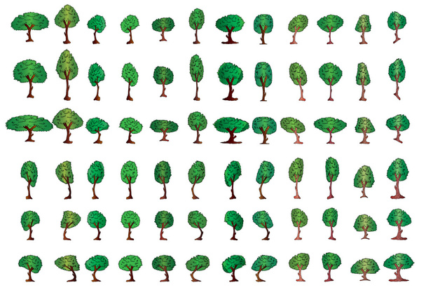 Set albero vettoriale
 - Vettoriali, immagini