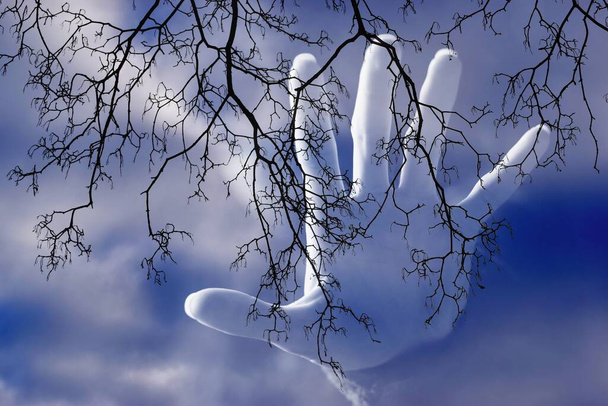 Gruselige Hand, Nachthimmel mit Ästen, Doppelbelichtung - Foto, Bild