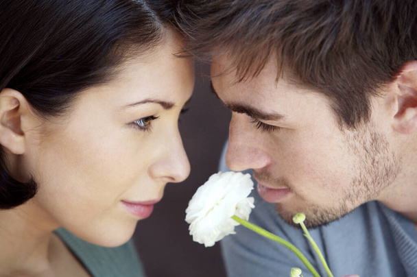 Couple looking at each other with a white rose in between - Photo, Image