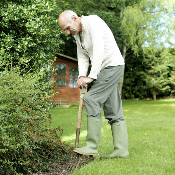 Senior man doing yard work - Photo, image