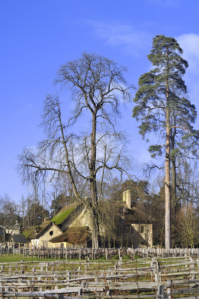 het park van het kasteel van versailles - Fotoğraf, Görsel