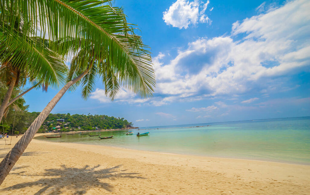 Playa en la isla tropical. Agua azul clara, arena y palmeras. Hermoso lugar de vacaciones, tratamiento y acuática
. - Foto, Imagen
