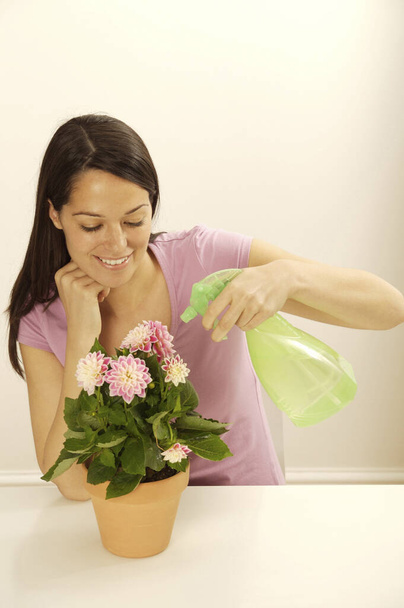 Woman spraying a potted flower - Foto, immagini