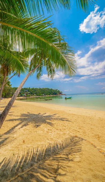 Tengerpart a trópusi szigeten. Tiszta kék víz, homok és pálmafák. Gyönyörű nyaralás helyszínen, kezelés és vízi. - Fotó, kép