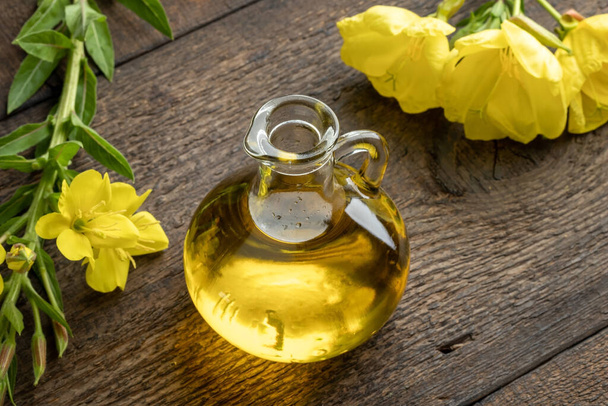 A bottle of evening primrose oil with fresh blooming Oenothera biennis plant  - Photo, Image