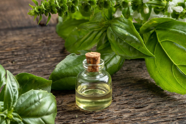 Una botella transparente de aceite esencial con ramitas de albahaca en flor fresca
 - Foto, imagen