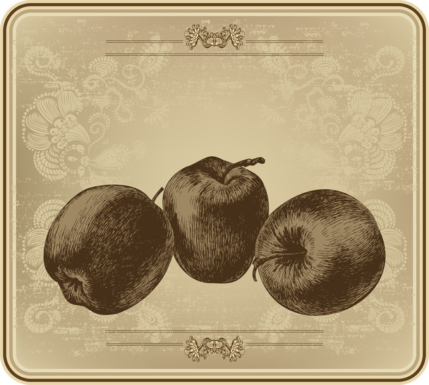 Apples with vintage frame, hand-drawing. Vector illustration. - Vektori, kuva