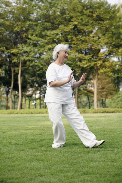Senior woman practising tai chi in the park - Zdjęcie, obraz