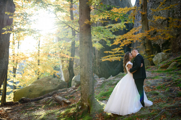 A noiva eo noivo estão abraçando entre as rochas e árvores
. - Foto, Imagem