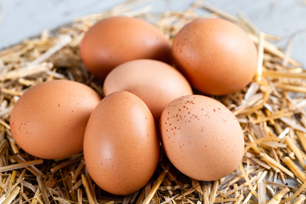 Close-up view of raw chicken eggs on hay. - Photo, image
