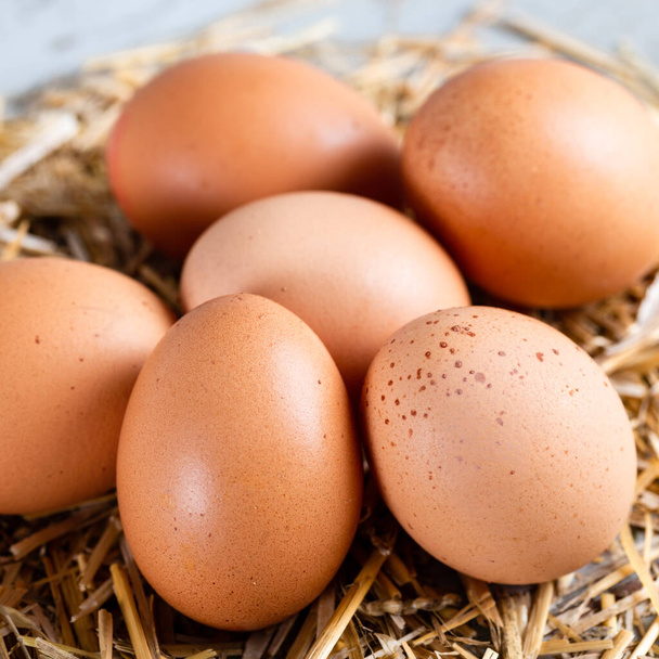 Close-up view of raw chicken eggs on hay. - Photo, Image