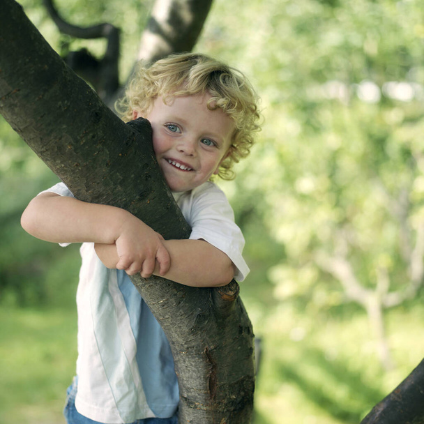 Boy hugging a tree branch - Fotoğraf, Görsel