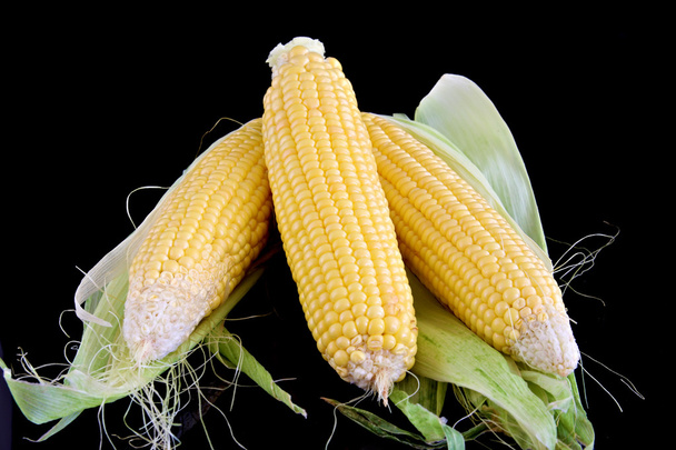 close-up of corn isolated organic vegetable food - Photo, image